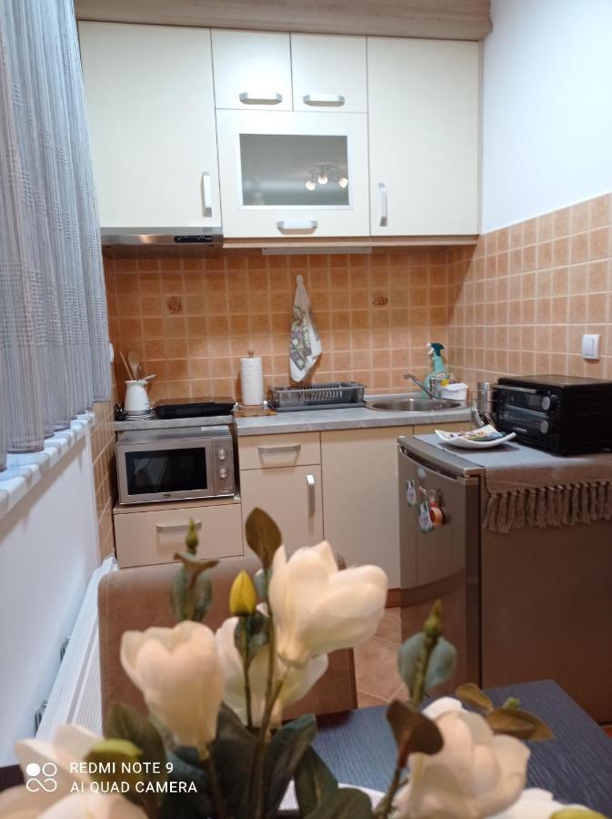 Apartman Harmonija Vrnjačka Banja Exteriér fotografie