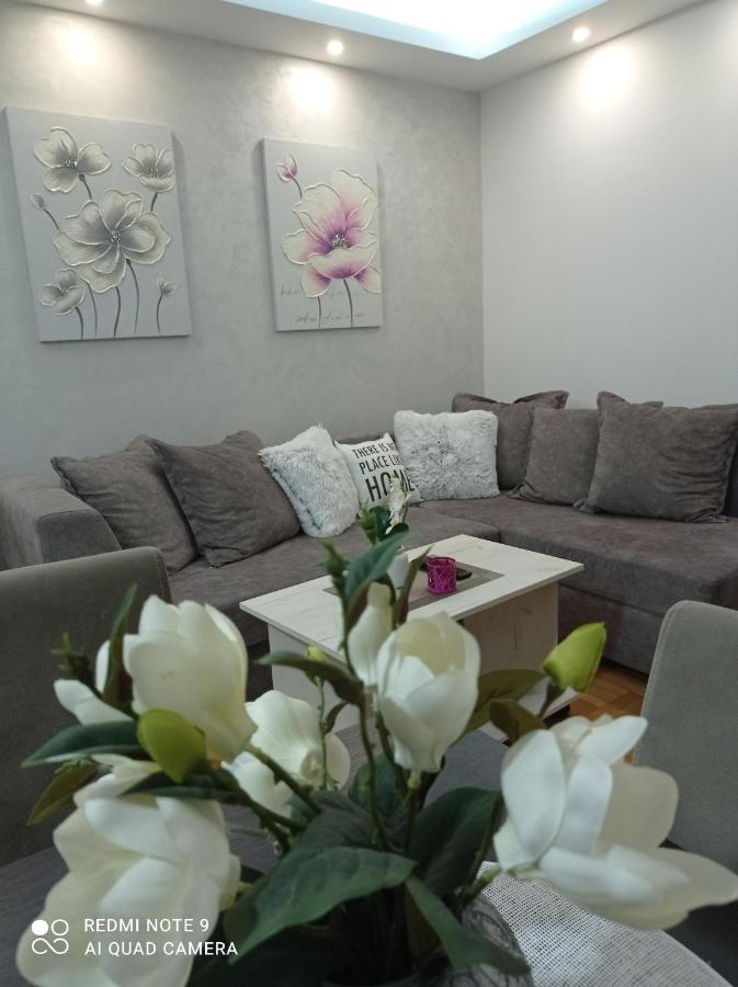 Apartman Harmonija Vrnjačka Banja Exteriér fotografie