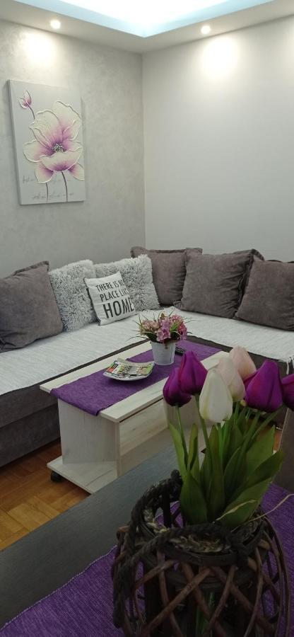 Apartman Harmonija Vrnjačka Banja Exteriér fotografie